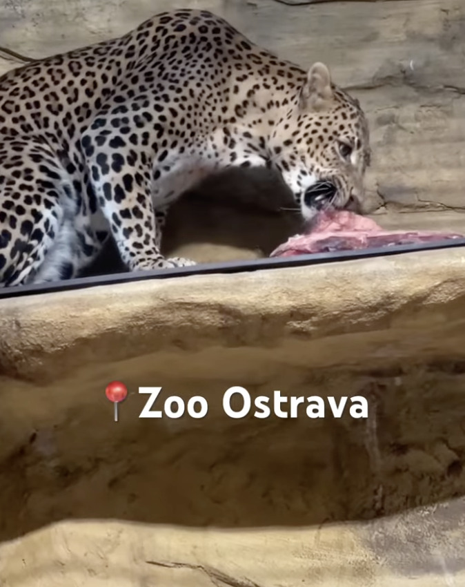 Zoo Ostrava